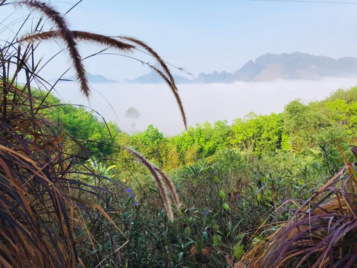 Por Sampao Camp&Resort Ban Pha Saeng Lang Eksteriør billede