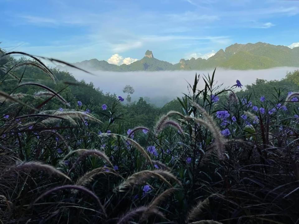 Por Sampao Camp&Resort Ban Pha Saeng Lang Eksteriør billede